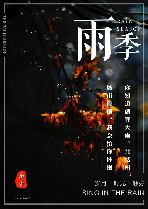 仿制假爱尔兰 ID